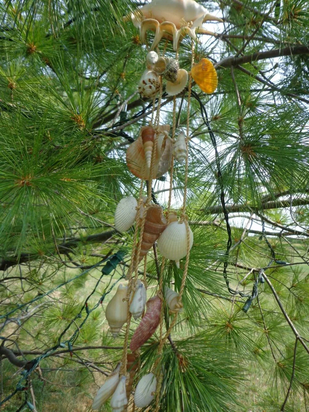 Sea Shells/Rope Wind Chime Nautical Coastal Authentic Various Shells 32